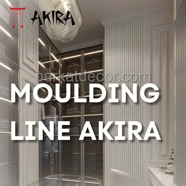 Akira Moulding